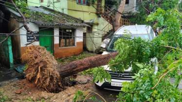 ঘূর্ণিঝড় অর্ণবের তাণ্ডবে বিপর্যস্ত ভারত ঘূর্ণিঝড় অর্ণবের তাণ্ডবে বিপর্যস্ত ভারত