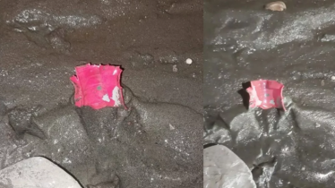 বিটিভি ভবনের সামনে ককটেল, ফরিদপুরে বাসে আগুন